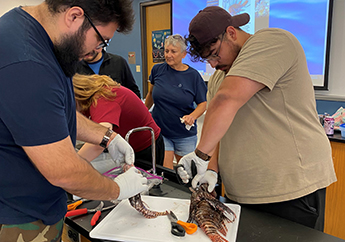 Galveston College STEM Discovery Seminar students 