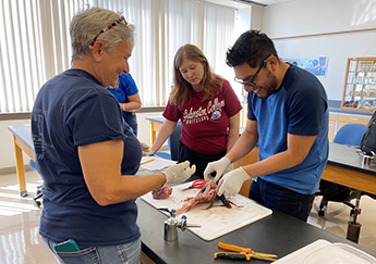 Galveston College STEM Discovery Seminar students 