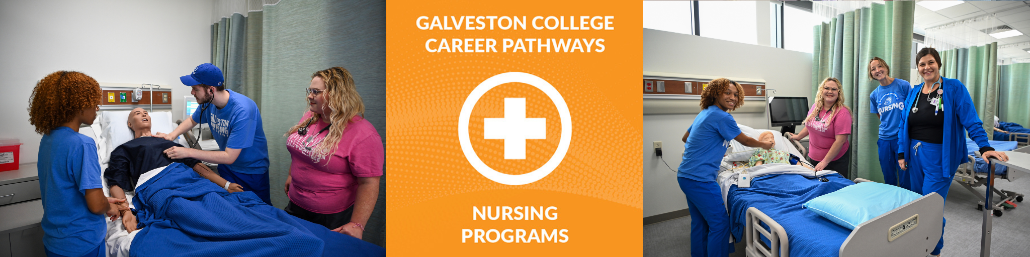 bachelor degree in nursing