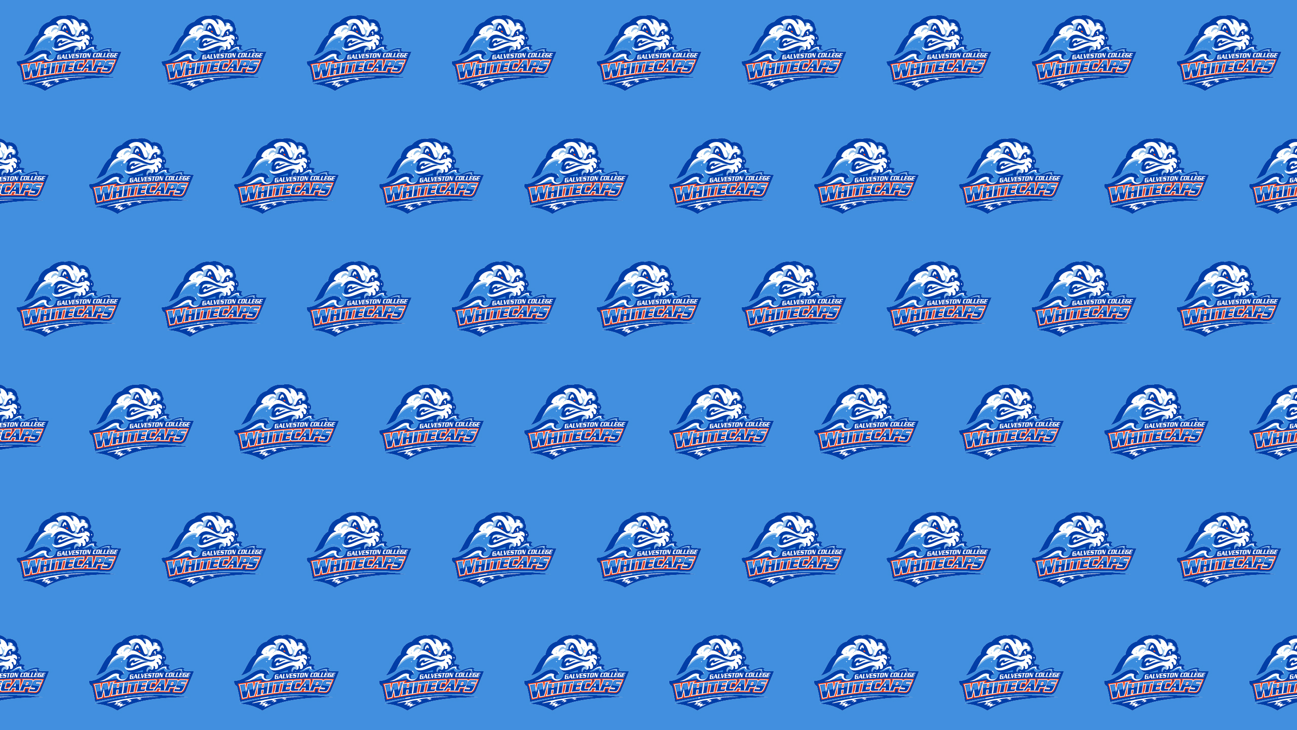 Step and Repeat Whitecaps Rip background 